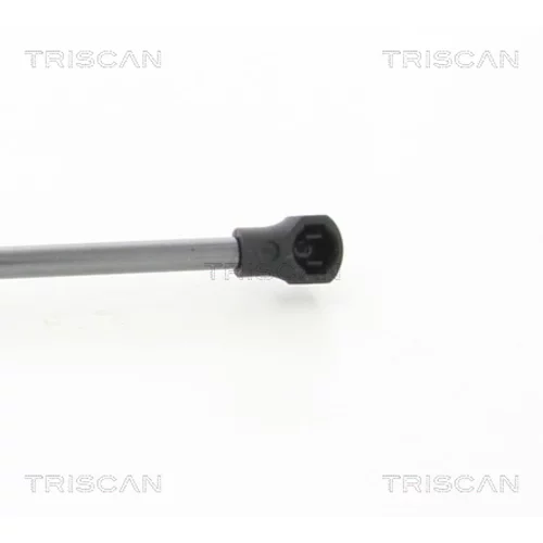 Pneumatická pružina, Batožinový/nákladný priestor 8710 28297 /TRISCAN/ - obr. 1