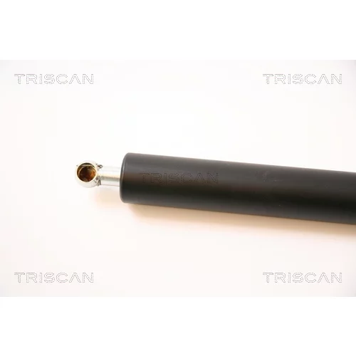 Pneumatická pružina, Batožinový/nákladný priestor 8710 43209 /TRISCAN/ - obr. 1