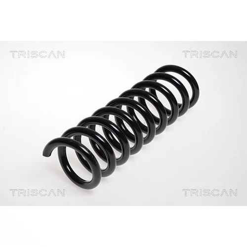 Pružina podvozku TRISCAN 8750 2365
