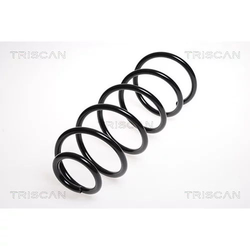 Pružina podvozku TRISCAN 8750 24116