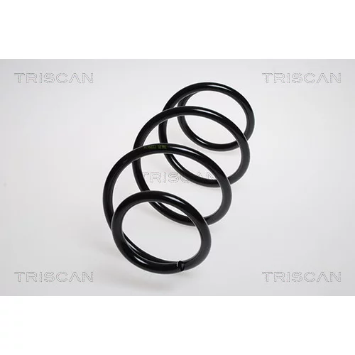Pružina podvozku TRISCAN 8750 2557