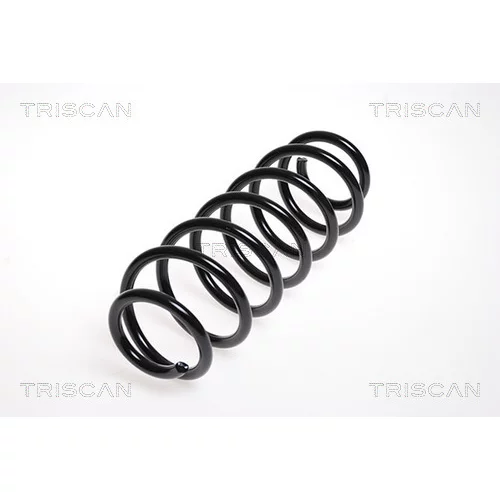 Pružina podvozku TRISCAN 8750 29143