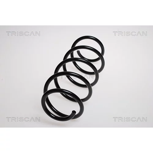 Pružina podvozku TRISCAN 8750 29213