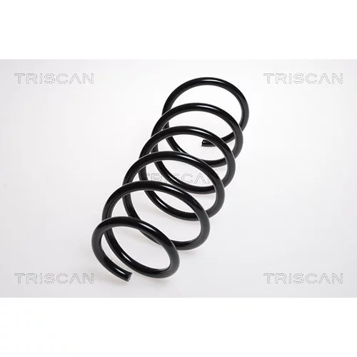 Pružina podvozku TRISCAN 8750 4246
