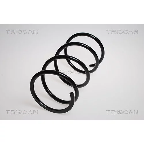 Pružina podvozku TRISCAN 8750 4251