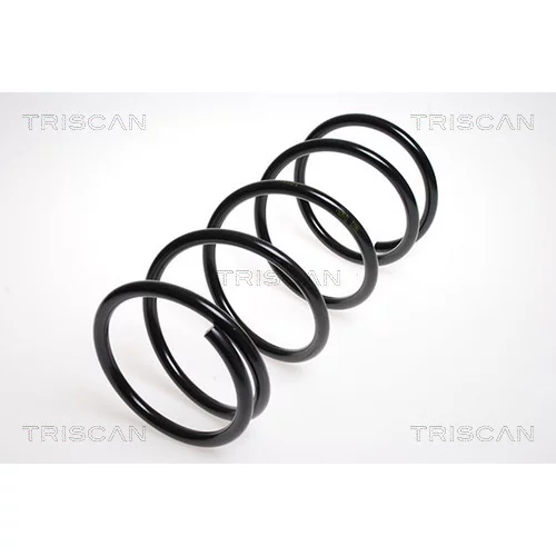 Pružina podvozku TRISCAN 8750 4266