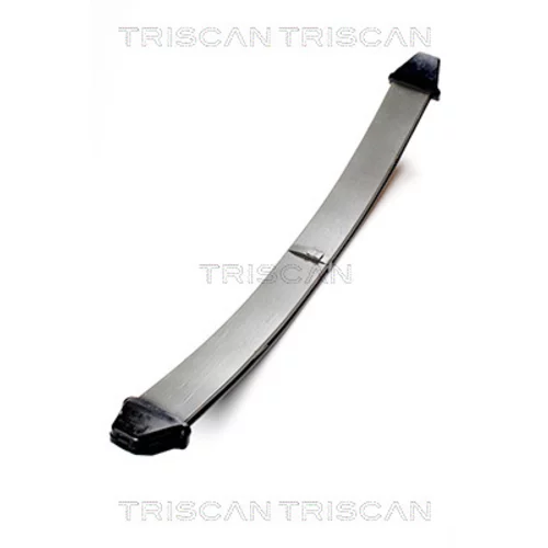 Sada pružín TRISCAN 8765 23012