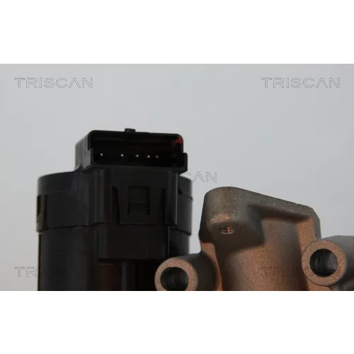 EGR ventil 8813 10001 /TRISCAN/ - obr. 1