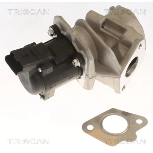 EGR ventil 8813 10018 /TRISCAN/ - obr. 2
