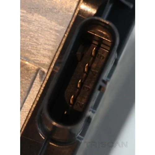 EGR ventil 8813 10031 /TRISCAN/ - obr. 1