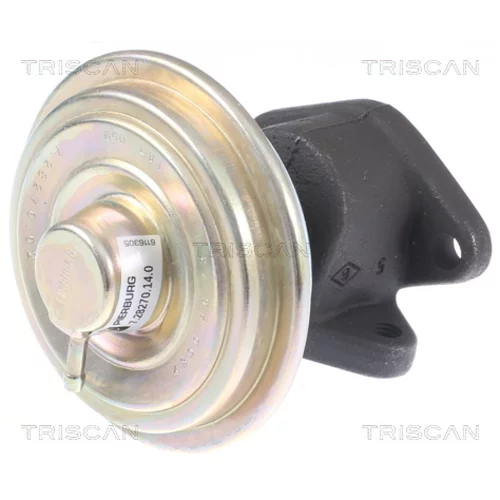 EGR ventil TRISCAN 8813 10033