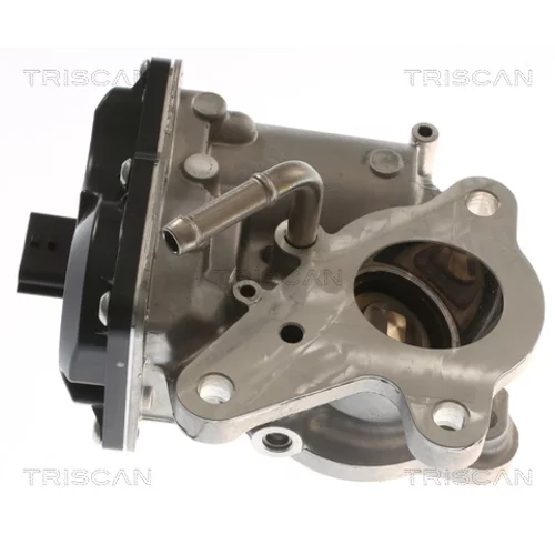 EGR ventil 8813 10116 /TRISCAN/ - obr. 2