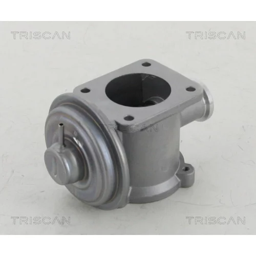 EGR ventil 8813 11003 /TRISCAN/ - obr. 2