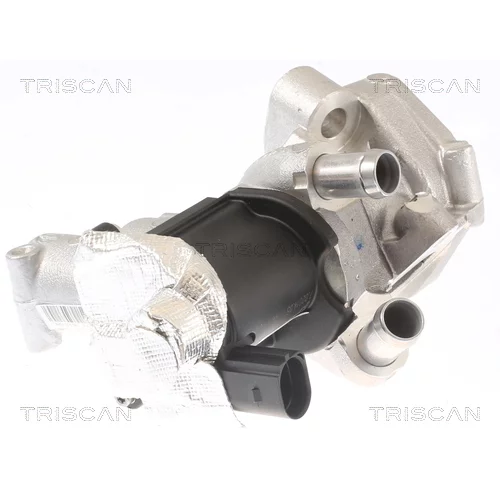 EGR ventil TRISCAN 8813 14006