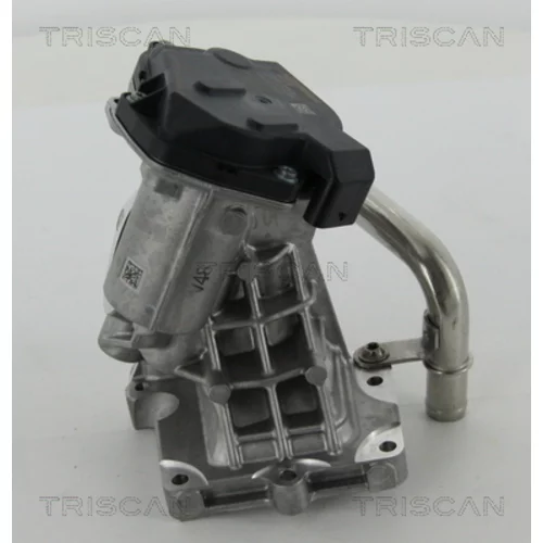 EGR ventil 8813 15206 /TRISCAN/ - obr. 3