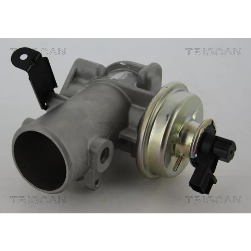 EGR ventil TRISCAN 8813 16200