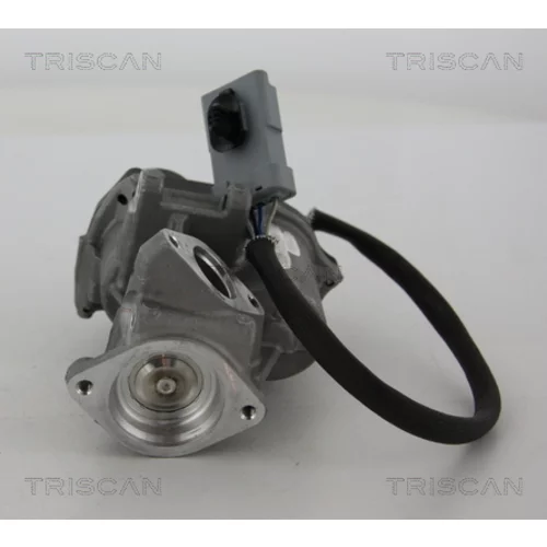 EGR ventil 8813 17019 /TRISCAN/ - obr. 3