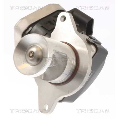 EGR ventil 8813 23021 /TRISCAN/