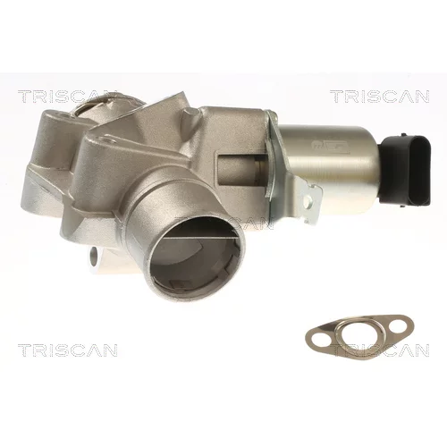 EGR ventil TRISCAN 8813 23044