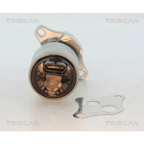 EGR ventil 8813 24004 /TRISCAN/ - obr. 1
