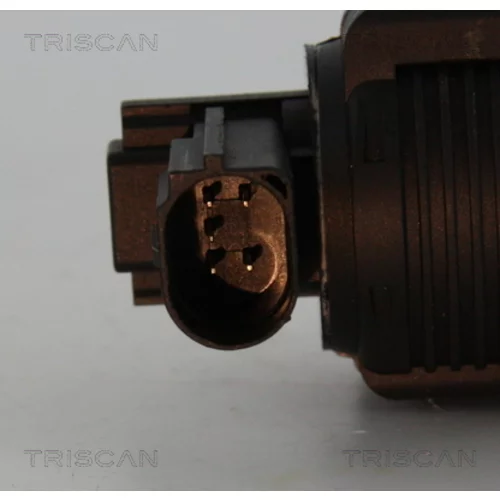 EGR ventil 8813 25038 /TRISCAN/ - obr. 1