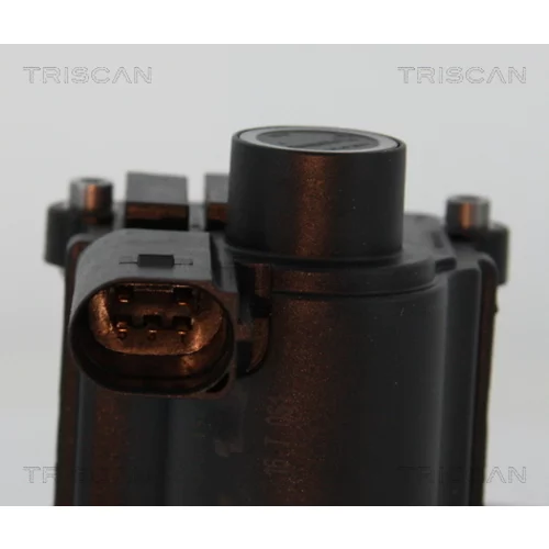 EGR ventil 8813 25039 /TRISCAN/ - obr. 1