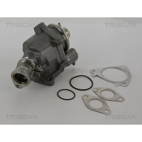 EGR ventil 8813 28019 /TRISCAN/ - obr. 2