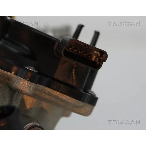 EGR ventil 8813 28044 /TRISCAN/ - obr. 1