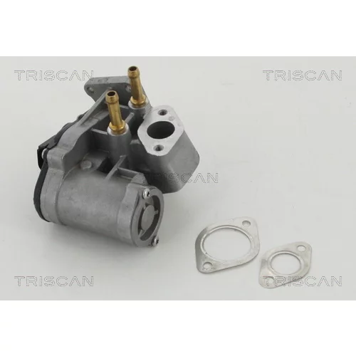 EGR ventil TRISCAN 8813 29017