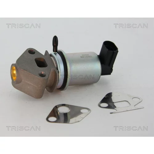 EGR ventil 8813 29045 /TRISCAN/ - obr. 2