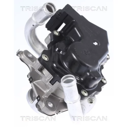 EGR ventil TRISCAN 8813 29058