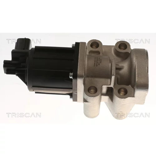 EGR ventil TRISCAN 8813 42002