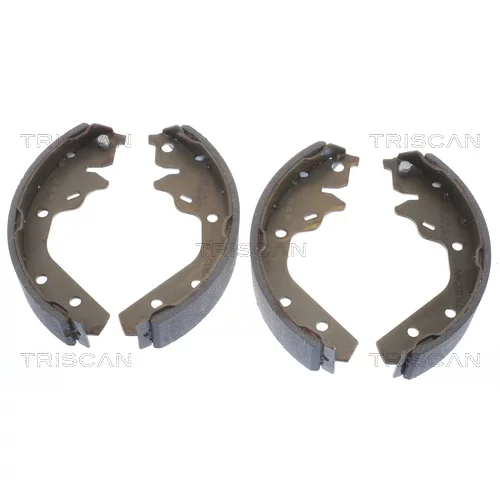 Sada brzdových čeľustí TRISCAN 8100 10592