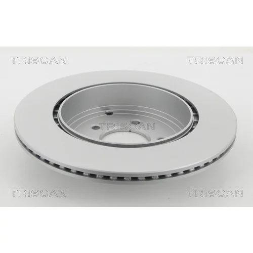 Brzdový kotúč 8120 50173C /TRISCAN/ - obr. 1