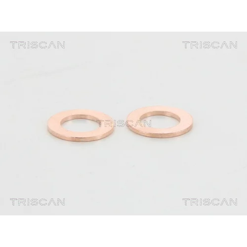 Brzdová hadica 8150 13133 /TRISCAN/ - obr. 3