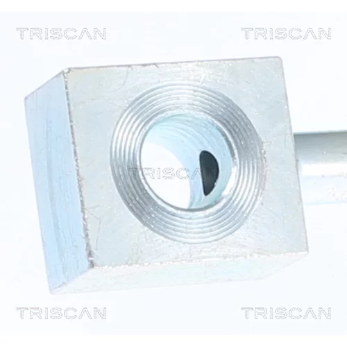 Brzdová hadica 8150 80113 /TRISCAN/ - obr. 1