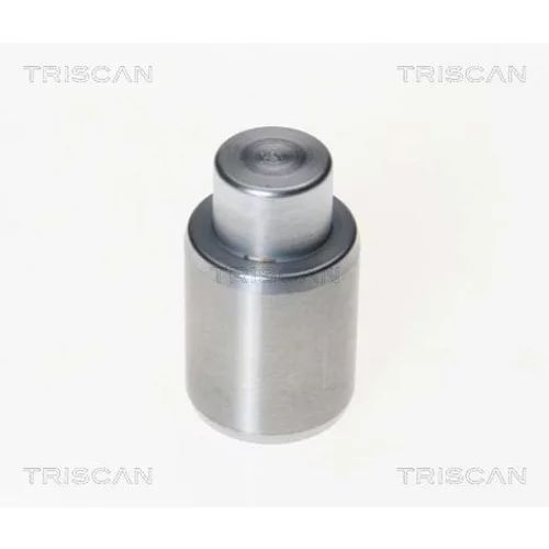 Piest brzdového strmeňa 8170 233003 /TRISCAN/