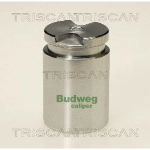 Piest brzdového strmeňa 8170 233010 /TRISCAN/