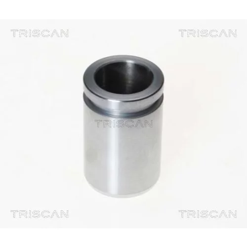 Piest brzdového strmeňa 8170 233024 /TRISCAN/