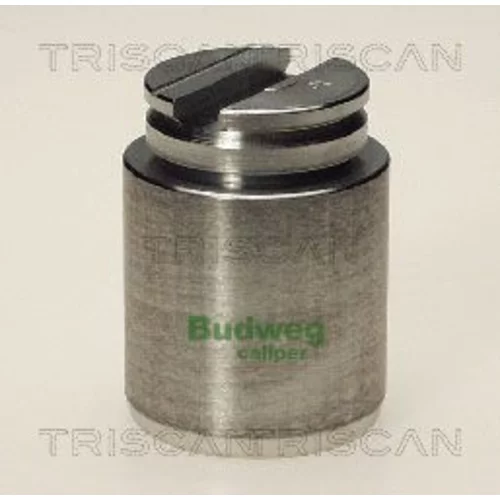 Piest brzdového strmeňa 8170 233406 /TRISCAN/