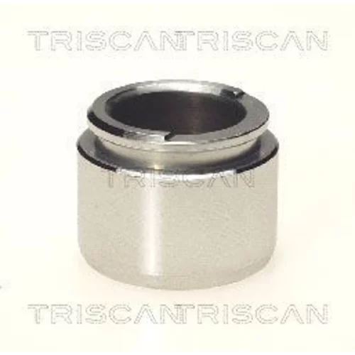 Piest brzdového strmeňa 8170 233803 /TRISCAN/