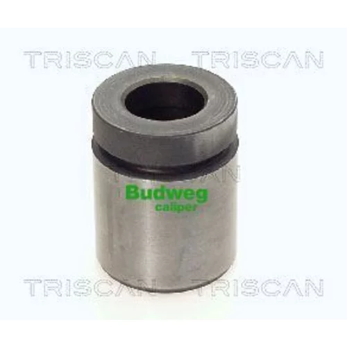 Piest brzdového strmeňa 8170 233844 /TRISCAN/