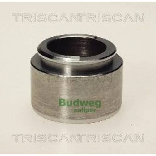 Piest brzdového strmeňa 8170 234018 /TRISCAN/