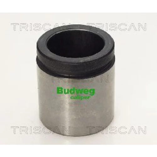 Piest brzdového strmeňa 8170 234224 /TRISCAN/