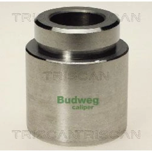 Piest brzdového strmeňa 8170 234519 /TRISCAN/