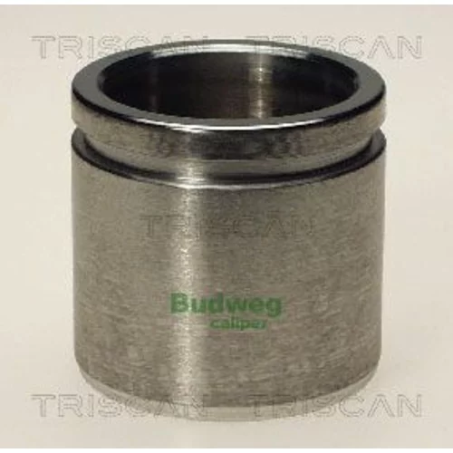 Piest brzdového strmeňa 8170 234828 /TRISCAN/
