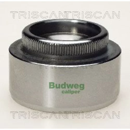 Piest brzdového strmeňa 8170 235403 /TRISCAN/