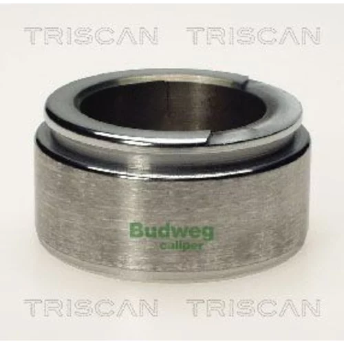 Piest brzdového strmeňa 8170 235706 /TRISCAN/