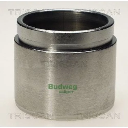 Piest brzdového strmeňa 8170 236030 /TRISCAN/