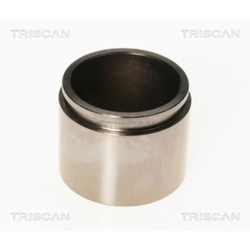 Piest brzdového strmeňa 8170 236051 /TRISCAN/